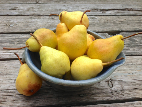 The season is bearing fruit here in the Blue Ridge mountains...