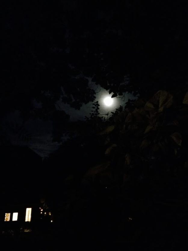 Seriously nearly-full moon not taking any nonsense--join the FullMoonSocial2014 on Wednesday.