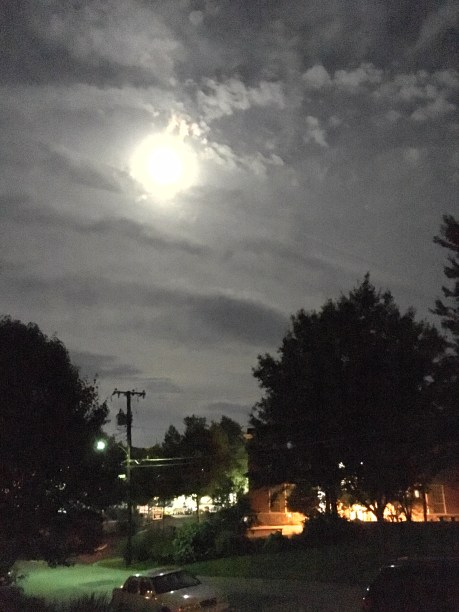 Taken with NightCap Pro